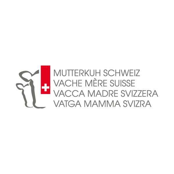 Mutterkuh Schweiz